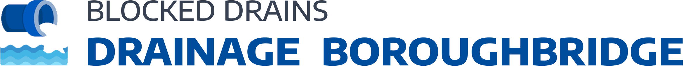 website logo